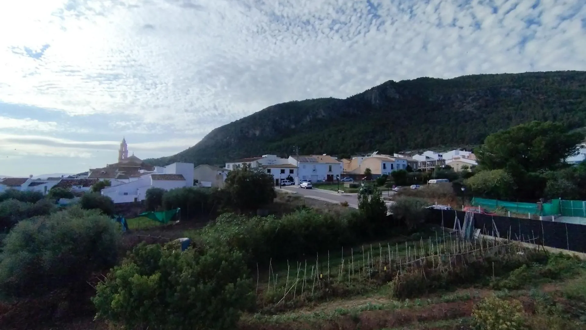 Lejlighed Apartamentos Lucia Algodonales